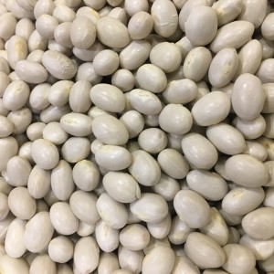 İspir Şeker Fasülyesi 1 kg